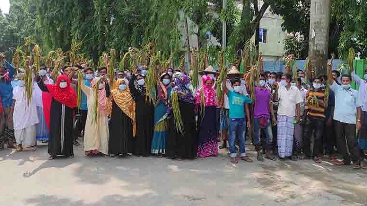 জলাবদ্ধতা নিরসনের দাবিতে সাতক্ষীরা ডিসি অফিস চত্বরে পঁচা ধান নিয়ে প্রতীকী অবস্থান