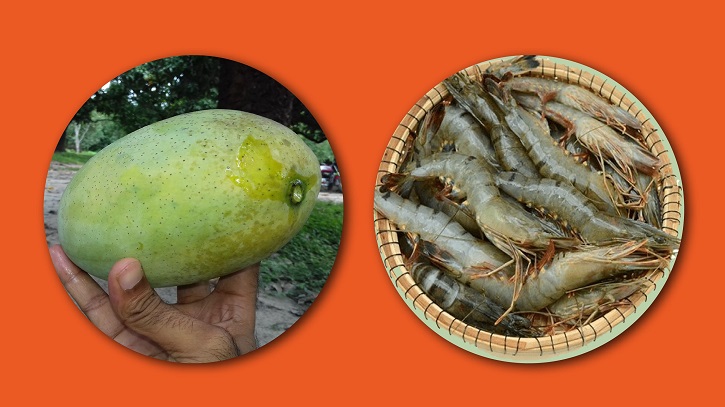 ভৌগলিক নির্দেশক স্বীকৃতি পাচ্ছে ফজলি আম ও বাগদা চিংড়ি ভৌগলিক নির্দেশক স্বীকৃতি পাচ্ছে ফজলি আম ও বাগদা চিংড়ি