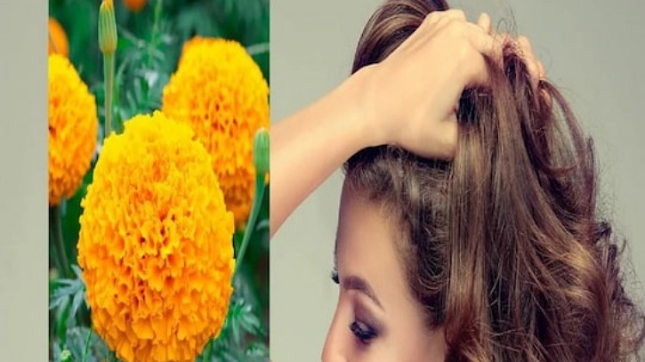 চুল ও ত্বকের যত্নে গাঁদা ফুলের ব্যবহার চুল ও ত্বকের যত্নে গাঁদা ফুলের ব্যবহার