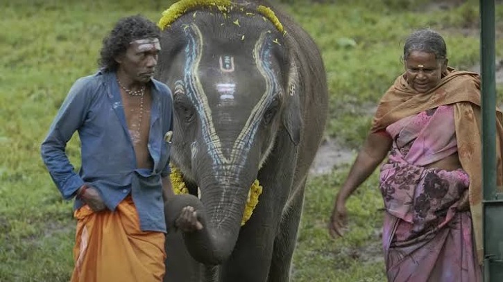 অস্কারের সেরা তথ্যচিত্র পুরস্কার জিতলো `দ্যা এলিফেন্ট হুইসপার` অস্কারের সেরা তথ্যচিত্র পুরস্কার জিতলো `দ্যা এলিফেন্ট হুইসপার`