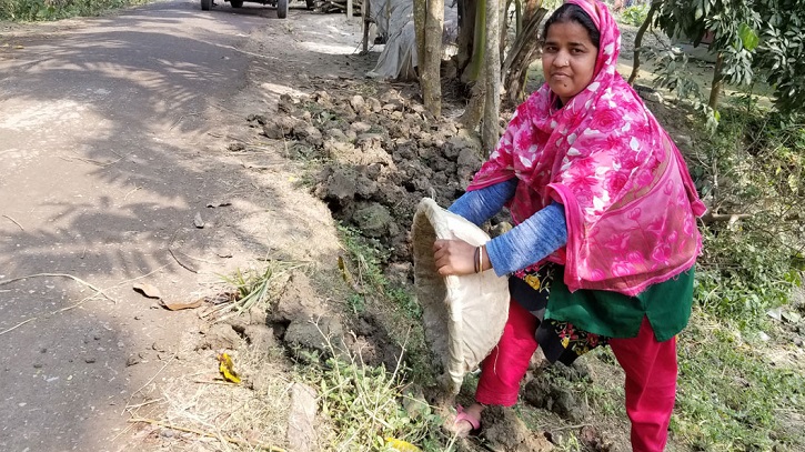 মাটি কেটে সংসার চালান ইউপি সদস্য ববিতা