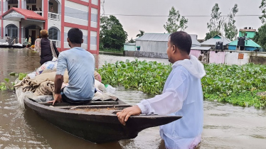 বন্যা ধেয়ে আসছে নেত্রকোনায়, আশ্রয়ের সন্ধানে ছুটছে মানুষ