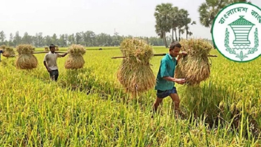 ২১ হাজার কোটি টাকার কৃষিঋণ বিতরণ