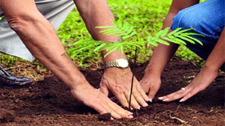 বরগুনায় রোপণ করা হচ্ছে গাছের চারা