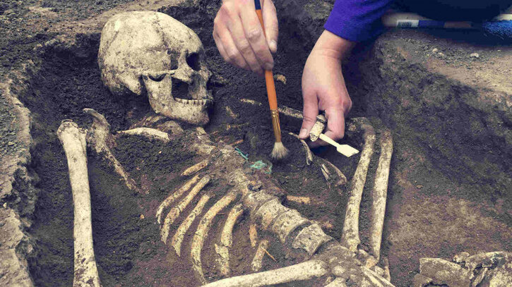 প্রায় ৩৫ লাখ বছরের পুরোনা মানব ফসিলের সন্ধান!