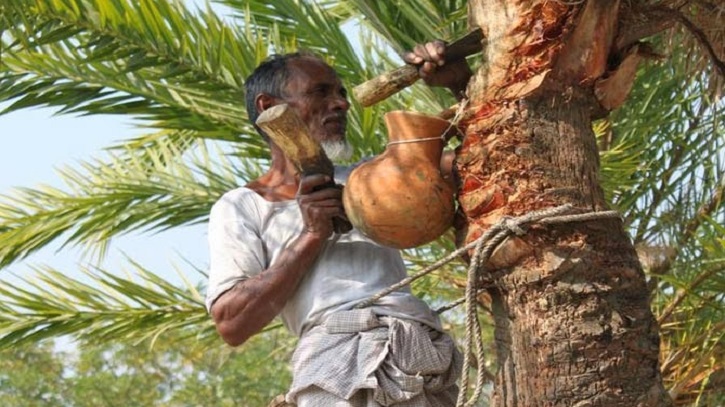 আসছে শীত, খেজুর গাছ প্রস্তুতে ব্যস্ত গাছিরা