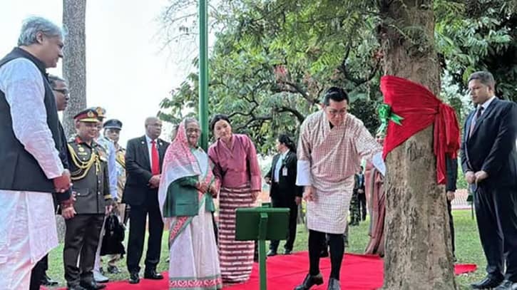 বাবার হাতে লাগানো ‘সিলভার ওক’ গাছ ছুঁয়ে দেখলেন ভুটানের রাজা