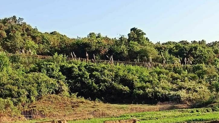 আরাকান আর্মির ছোড়া গুলিতে আহত দুই বাংলাদেশি