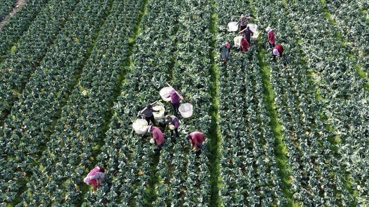 দারিদ্র্য হ্রাসে চীনের ভূমিকায় বৈশ্বিক স্বীকৃতি ৯০ শতাংশের বেশি