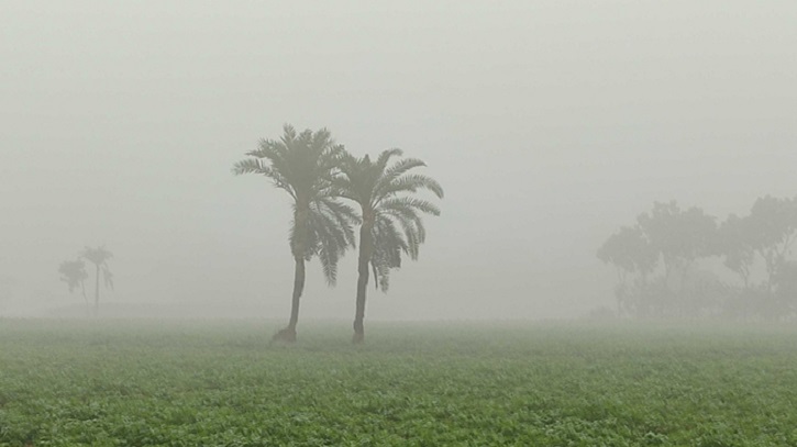 শীতে কাঁপছে চুয়াডাঙ্গা, ১১ দশমিক ৭ ডিগ্রি