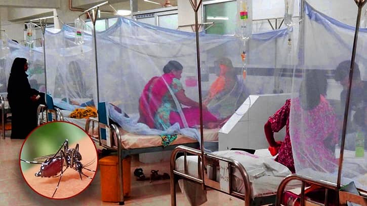 ডেঙ্গুতে সাতজনের মৃত্যু, হাসপাতালে ভর্তি ৫৬৭