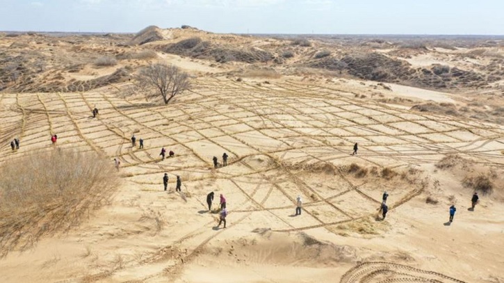 মরুকরণ মোকাবিলায় একযোগে কাজ করছে চীন ও মধ্য এশিয়ার চার দেশ
