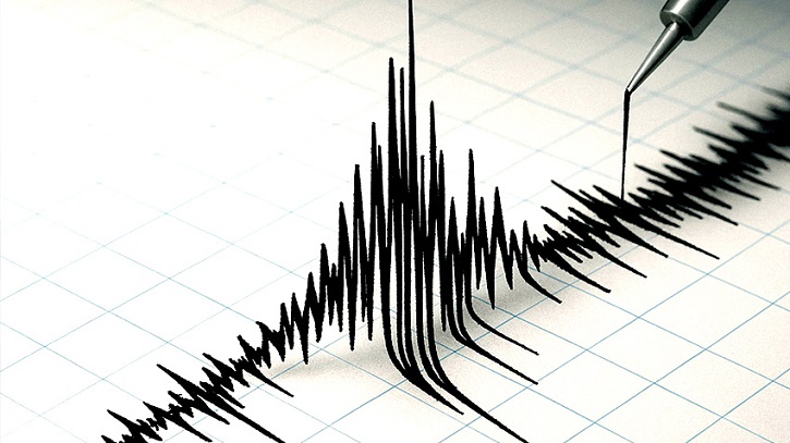 ভূমিকম্পে কেঁপে উঠল কাশ্মীর