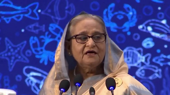 যুবসমাজকে মাছ উৎপাদন এবং মৎস্য শিল্পে বিনিয়োগ বৃদ্ধির আহ্বান প্রধানমন্ত্রীর