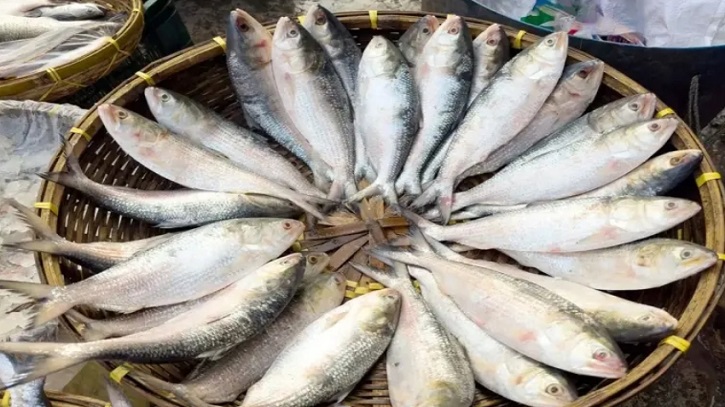 ভারত থেকে বাংলাদেশে ইলিশ আমদানি বন্ধ