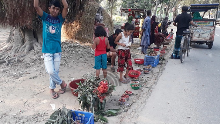 বাদ পড়া লিচু বিক্রি করেই খুশি তারা বাদ পড়া লিচু বিক্রি করেই খুশি তারা