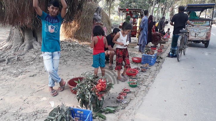 বাদ পড়া লিচু বিক্রি করেই খুশি তারা 