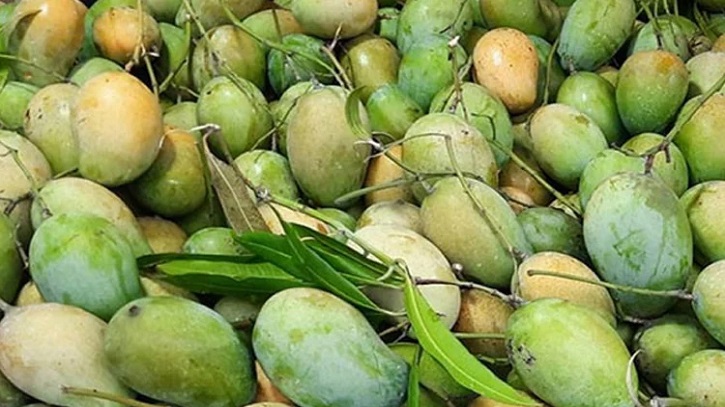 ২৮ মে চীনে আমের প্রথম চালান পাঠাবে বাংলাদেশ