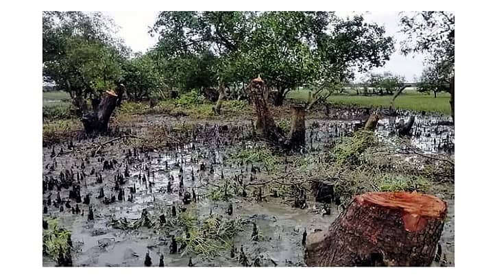 প্যারাবন রক্ষায় ব্যবস্থা নিতে সচিবসহ ১০ কর্মকর্তাকে আইনি নোটিশ প্যারাবন রক্ষায় ব্যবস্থা নিতে সচিবসহ ১০ কর্মকর্তাকে আইনি নোটিশ