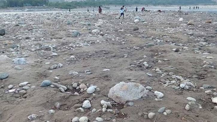 সাদাপাথর লুটের ঘটনায় দোষীদের বিরুদ্ধে দ্রুত ব্যবস্থা নিতে হাইকোর্টে রিট