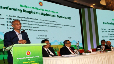 কৃষকরা প্রণোদনা পায়না, ঋণ দিতে গেলে অনেক বাধা আসে: কৃষি উপদেষ্টা