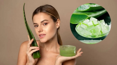 নরম ও উজ্জ্বল ত্বক পেতে যেভাবে ব্যবহার করবেন অ্যালোভেরা