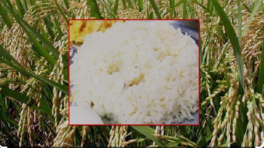 ভাতে বিপজ্জনক আর্সেনিক, বাংলাদেশসহ এশিয়ার দেশগুলোর জন্য সতর্কবার্তা