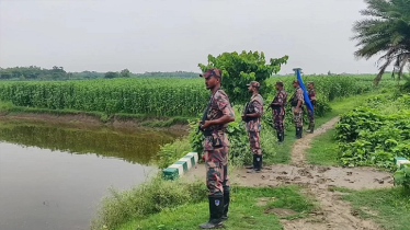 মেহেরপুর সীমান্তে বিএসএফের পুশইনের চেষ্টা ব্যর্থ করে দিল বিজিবি