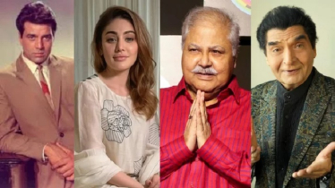 ২০২৫: বলিউডের যে নক্ষত্রগুলো নিভে গেল