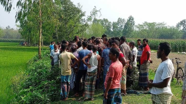সীমান্তে বিএসএফের গুলিতে বাংলাদেশি নিহত