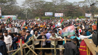 তারেক রহমানের জন্য প্রস্তুত মঞ্চ, মিছিল নিয়ে আসছেন নেতাকর্মীরা