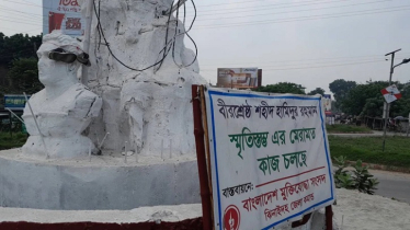 বীরশ্রেষ্ঠ হামিদুর রহমানের ভাস্কর্যে জুতার মালা, ভাইরাল ছবি