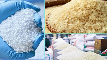 এলএনজি, সার ও চাল আমদানিসহ ১০টি প্রস্তাব অনুমোদন