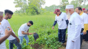 কুমিল্লায় এক দিনে লাগানো হলো ২০ হাজার তালের বীজ