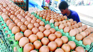 ডিমের ডজন এখন ১৬০ টাকা, বিপাকে সাধারণ ক্রেতারা
