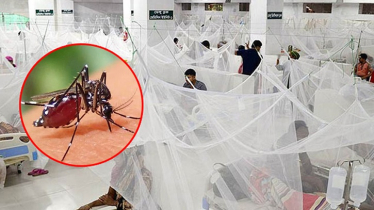 এ বছর ডেঙ্গুতে মৃত্যু ৭০০ ছাড়াল