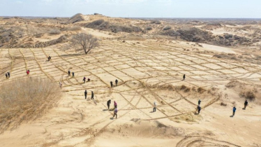 মরুকরণ মোকাবিলায় একযোগে কাজ করছে চীন ও মধ্য এশিয়ার চার দেশ