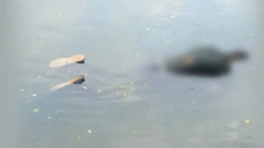 ধানমন্ডি লেক থেকে ভাসমান মরদেহ উদ্ধার