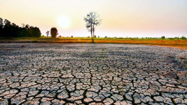 ২০২৭ সাল ইতিহাসের সবচেয়ে উষ্ণতম বছর হতে পারে