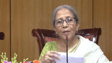 কোম্পানির মুনাফার জায়গা গো-খাদ্য হতে পারে না : প্রাণিসম্পদ উপদেষ্টা