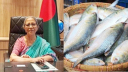কোনো চাপ নয়, সম্প্রীতি বজায় রাখতে ভারতকে ইলিশ দেওয়া হয়: উপদেষ্টা 