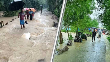 ফেনীতে বন্যানিয়ন্ত্রণ বাঁধের ১৪টি স্থানে ভাঙন, পানির নিচে ৩০ গ্রাম