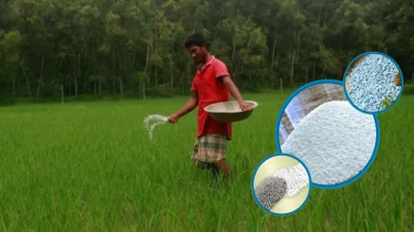 সার ব্যবস্থাপনা সুশৃঙ্খল করতে সারাদেশে মনিটরিং সেল গঠন