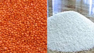 ১ লাখ ৫৫ হাজার টন সার ও ১০ হাজার টন মসুর ডাল কিনবে সরকার