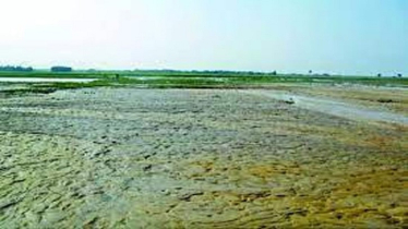 জলবায়ু পরিবর্তনের প্রভাব, হাওরে পানি নেই, সংকটে কৃষি ও মৎস্য