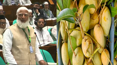 সংসদের সবাইকে আম উপহার দিলেন জামায়াত আমির