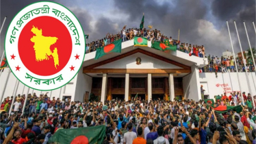 আরও ৭১৩ জুলাইযোদ্ধার গেজেট প্রকাশ