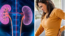 কেন হয় কিডনির রোগ? কারণ খুঁজে পেলেন গবেষকেরা