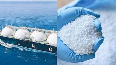 দেড় লাখ টন সার ও এক কার্গো এলএনজি কিনছে সরকার
