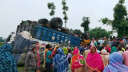 সড়ক থেকে ট্রাক উল্টে পড়ল ক্ষেতে, কৃষক নিহত